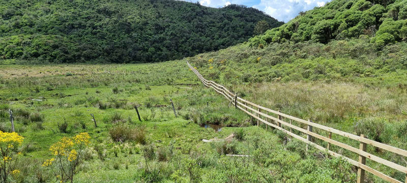 Terreno à venda Centro com 20000m² e 1 quarto por R$ 99.999 - 1354077868-20221212-135444.jpg