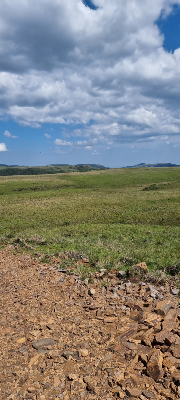 Terreno à venda Centro com 20000m² e 1 quarto por R$ 99.999 - 1445023371-20221212-144617.jpg