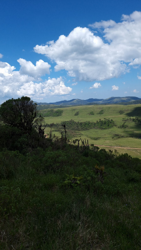 Terreno à venda Centro com 20000m² e 1 quarto por R$ 99.999 - 1493491965-20221212-141149.jpg