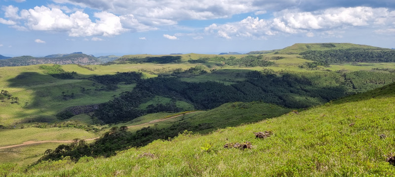 Terreno à venda Centro com 20000m² e 1 quarto por R$ 99.999 - 150309479-20221212-141138.jpg