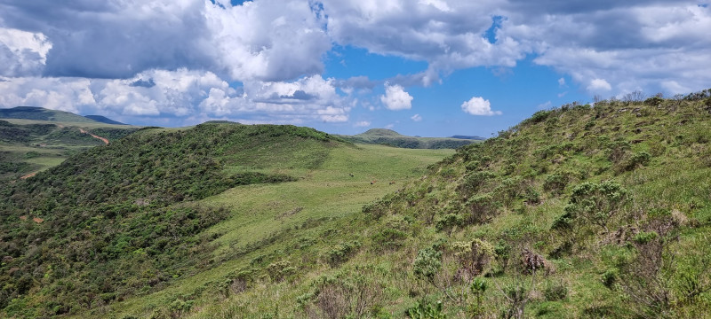Terreno à venda Centro com 20000m² e 1 quarto por R$ 99.999 - 1546000085-20221212-143700.jpg
