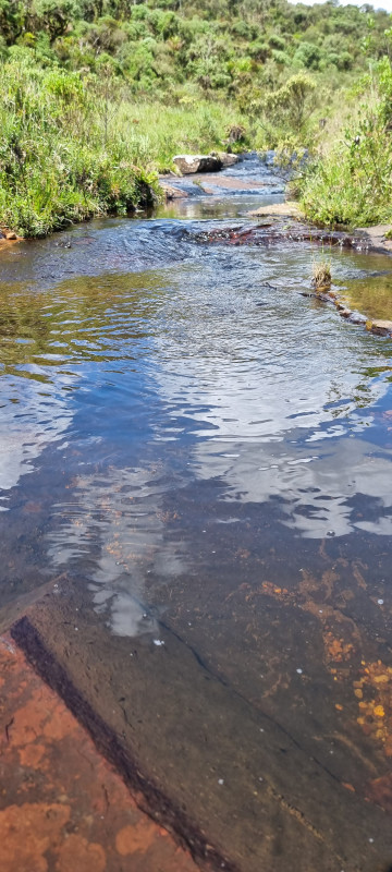 Terreno à venda Centro com 20000m² e 1 quarto por R$ 99.999 - 1654634279-20221212-145521.jpg