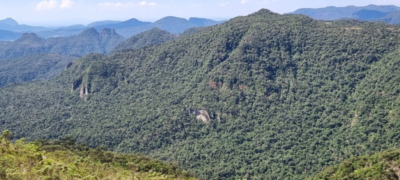 Terreno à venda Centro com 20000m² e 1 quarto por R$ 99.999 - 1680906099-20221212-143710.jpg