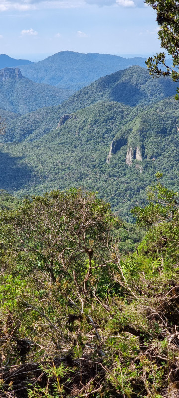 Terreno à venda Centro com 20000m² e 1 quarto por R$ 99.999 - 176934634-20221212-143053.jpg