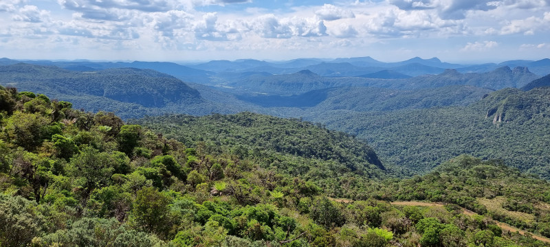 Terreno à venda Centro com 20000m² e 1 quarto por R$ 99.999 - 1844528472-20221212-143959.jpg