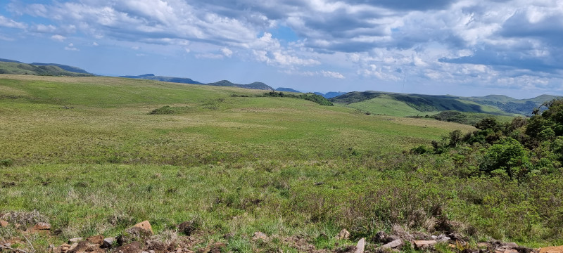 Terreno à venda Centro com 20000m² e 1 quarto por R$ 99.999 - 1916673106-20221212-144611.jpg