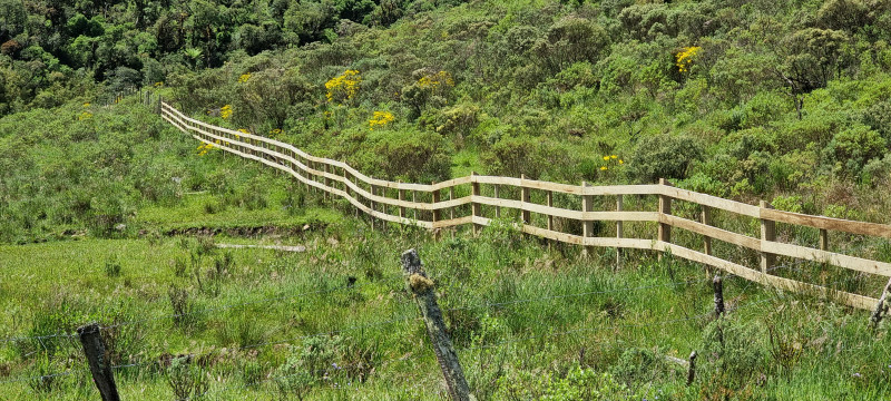 Terreno à venda Centro com 20000m² e 1 quarto por R$ 99.999 - 1970350892-20221212-135540.jpg