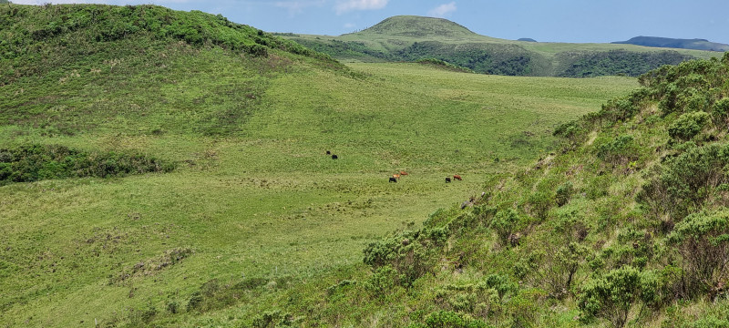 Terreno à venda Centro com 20000m² e 1 quarto por R$ 99.999 - 2061153690-20221212-143703.jpg
