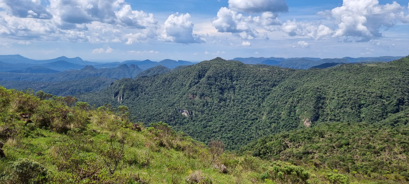 Terreno à venda Centro com 20000m² e 1 quarto por R$ 99.999 - 2146944200-20221212-143638.jpg
