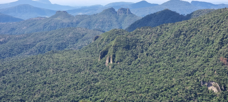 Terreno à venda Centro com 20000m² e 1 quarto por R$ 99.999 - 431920312-20221212-144005.jpg