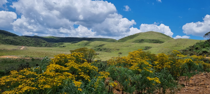 Terreno à venda Centro com 20000m² e 1 quarto por R$ 99.999 - 654121372-20221212-135832.jpg