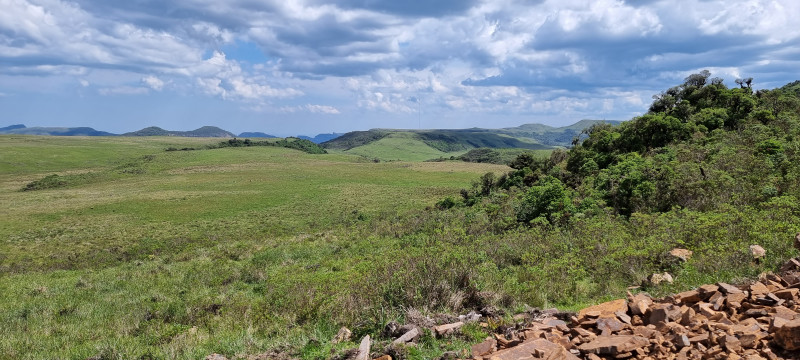 Terreno à venda Centro com 20000m² e 1 quarto por R$ 99.999 - 66343047-20221212-144557.jpg