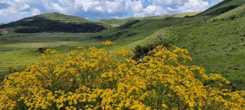 Terreno à venda Centro com 20000m² e 1 quarto por R$ 99.999 - 739118283-20221212-140114.jpg