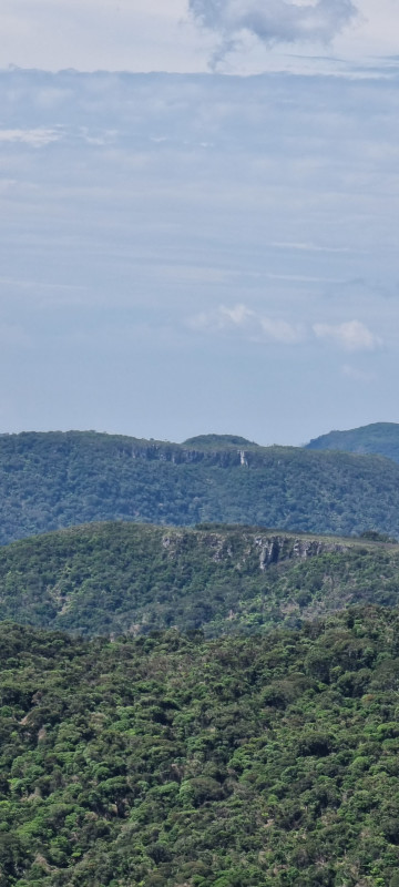 Terreno à venda Centro com 20000m² e 1 quarto por R$ 99.999 - 774523356-20221212-144120.jpg