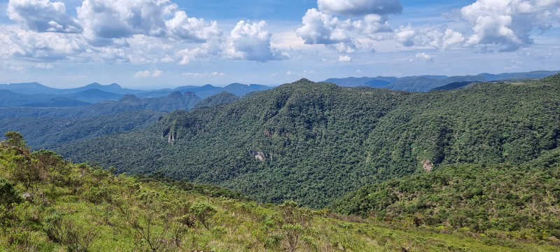 Terreno à venda Centro com 20000m² e 1 quarto por R$ 99.999 - 800824294-20221212-143655.jpg