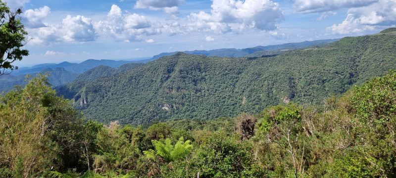 Terreno à venda Centro com 20000m² e 1 quarto por R$ 99.999 - 929335174-20221212-143247.jpg