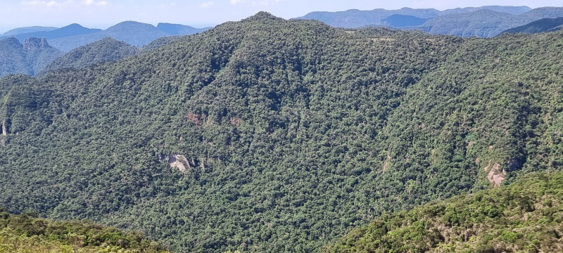 Terreno à venda Centro com 20000m² e 1 quarto por R$ 99.999 - 953188131-20221212-143708.jpg