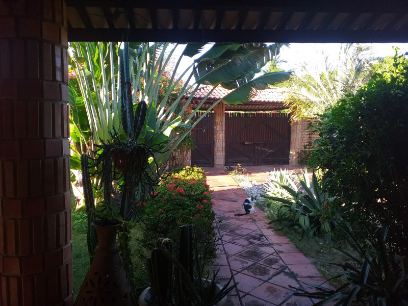 Casa à venda Centro com 500m² e 5 quartos por R$ 300.000 - 2085509900-20230630-070047.jpg