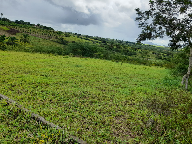 Terreno à venda Centro com 240m² e 1 quarto por R$ 23.000 - 900755654-20220404-122254-1.jpg