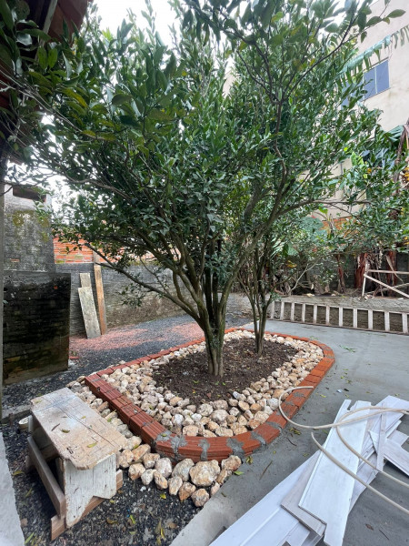 Casa à venda Uvaranas com 300m² e 3 quartos por R$ 1.450.000 - 297071797-whatsapp-image-2023-08-16-at-11.jpeg