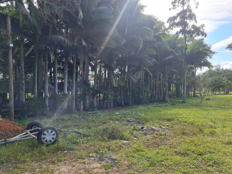 Sítio à venda Vl. Cubatão com 20000m² e 3 quartos por R$ 2.500.000 - 2067164965-20230702-131355.jpg