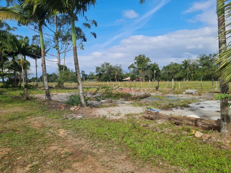 Sítio à venda Vl. Cubatão com 20000m² e 3 quartos por R$ 2.500.000 - 2093292048-20230702-131404.jpg