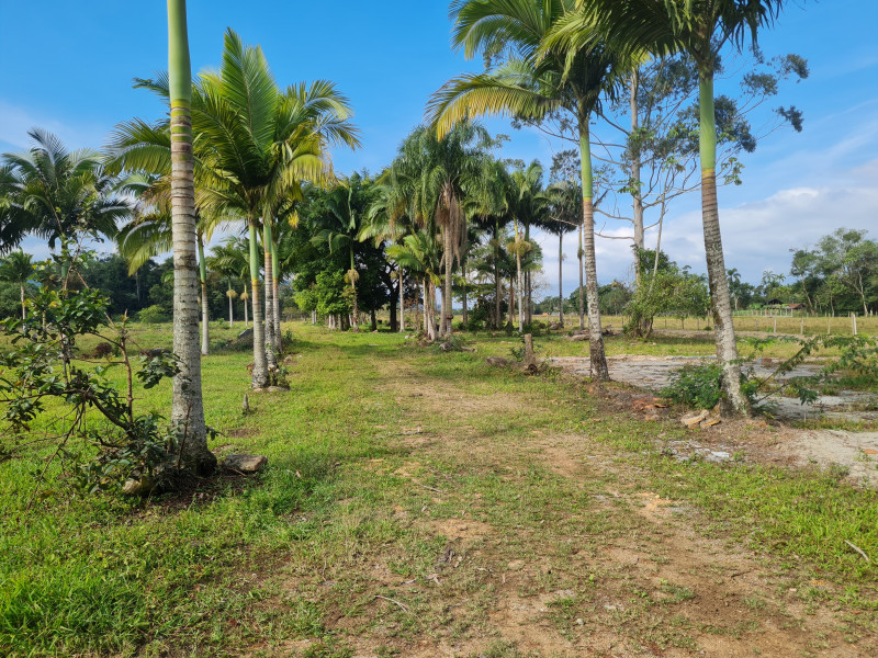 Sítio à venda Vl. Cubatão com 20000m² e 3 quartos por R$ 2.500.000 - 28722123-20230702-131406.jpg