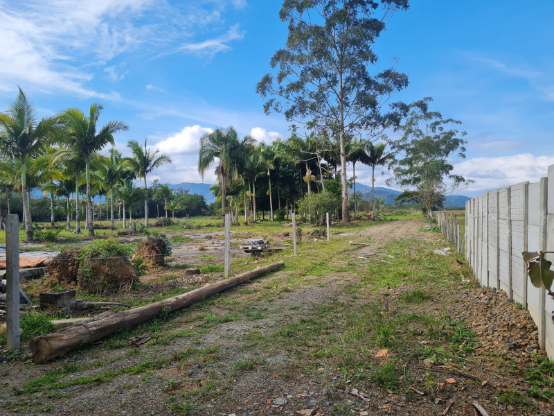 Sítio à venda Vl. Cubatão com 20000m² e 3 quartos por R$ 2.500.000 - 637910239-20230702-131515.jpg