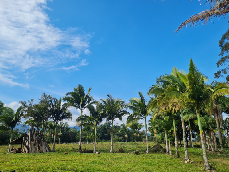 Sítio à venda Vl. Cubatão com 20000m² e 3 quartos por R$ 2.500.000 - 812609588-20230702-131426.jpg