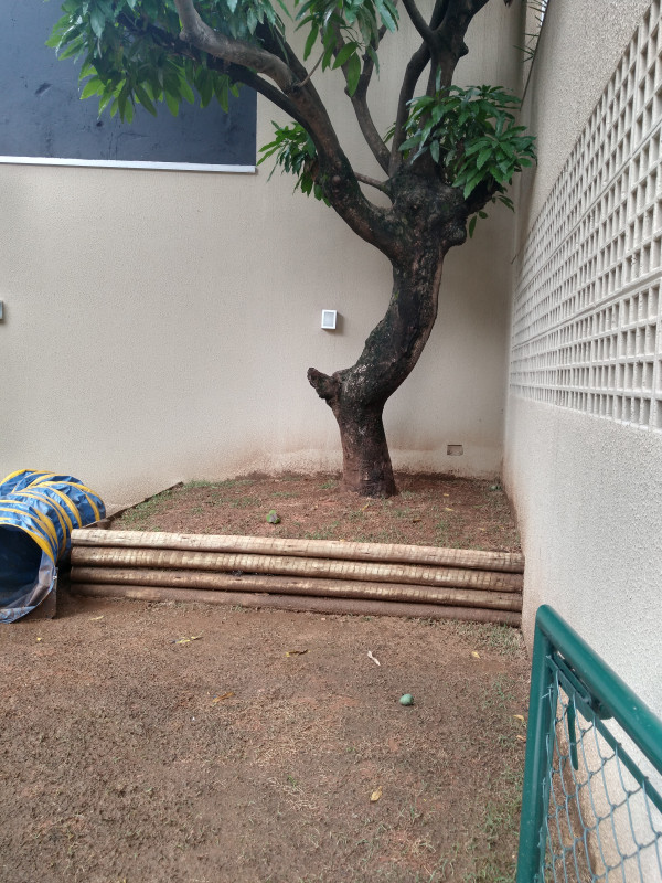 Apartamento à venda Vila Prudente com 60m² e 2 quartos por R$ 520.000 - 424981243-img-20230113-092737366-hdr.jpg