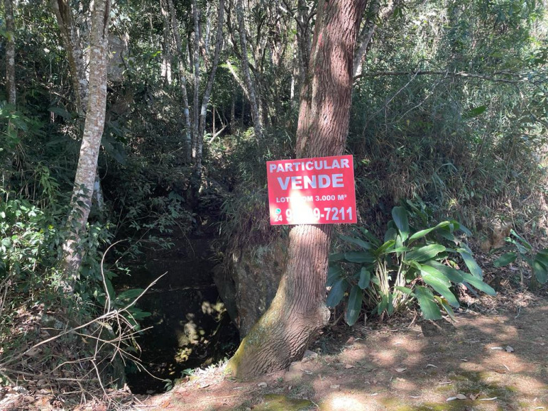 Terreno à venda Samambaia com 3000m² e 1 quarto por R$ 299.000 - 1209223223-terreno-2.jpg