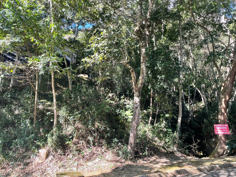 Terreno à venda Samambaia com 3000m² e 1 quarto por R$ 299.000 - 574505536-terreno-7.jpg