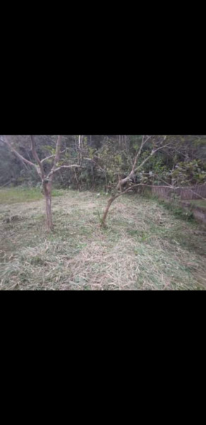 Terreno à venda Britos com 1700m² e 1 quarto por R$ 80.000 - 505720675-screenshot-20230630-093404.jpg