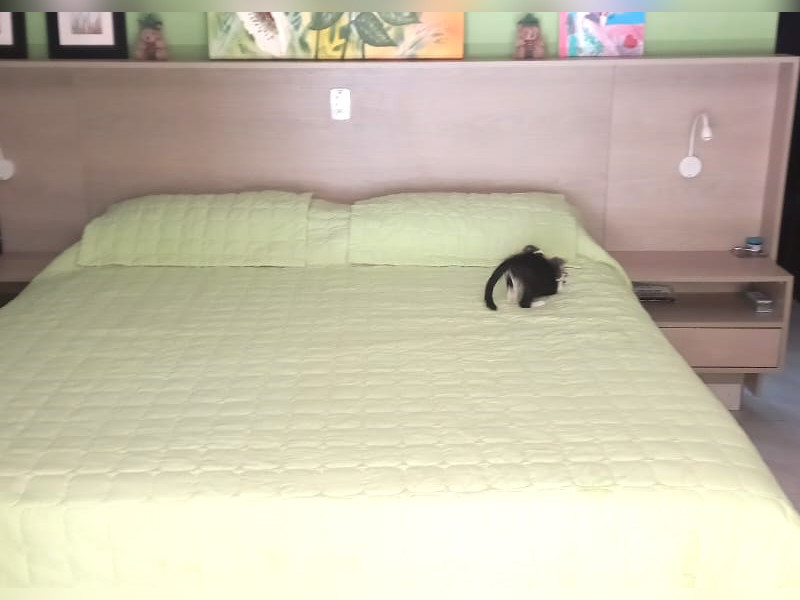 Casa de condomínio à venda Loteamento Parque das Mangueiras com 350m² e 3 quartos por R$ 799.000 - img-20240216-wa0021.jpg
