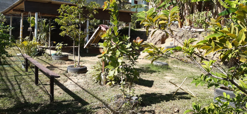 Terreno à venda São Lourenço com 260m² e 1 quarto por R$ 250.000 - 1350179001-whatsapp-image-2023-07-06-at-12.jpeg