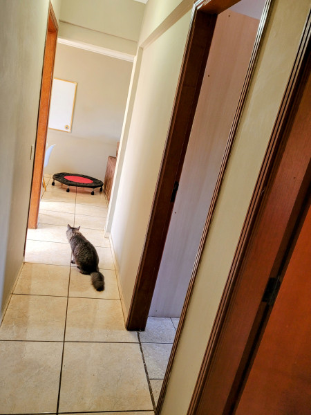 Apartamento à venda Eldorado com 85m² e 2 quartos por R$ 170.000 - 1131094284-20230423-1132312.jpg