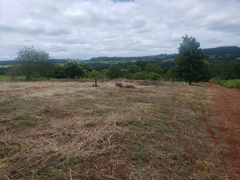 Sítio à venda Centro com 24m² e 3 quartos por R$ 650.000 - 1376729983-img-20230707-wa0001.jpg