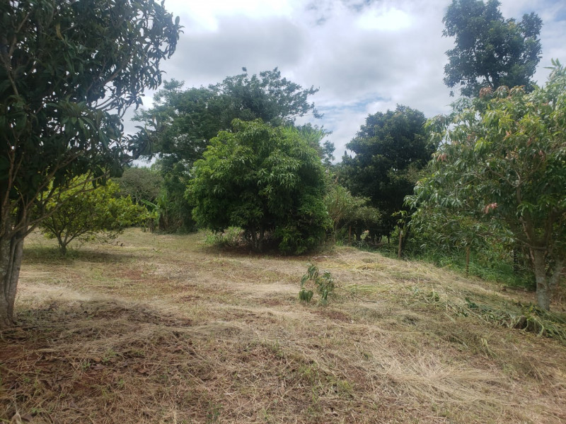 Sítio à venda Centro com 24m² e 3 quartos por R$ 650.000 - 1691131367-img-20230707-wa0008.jpg