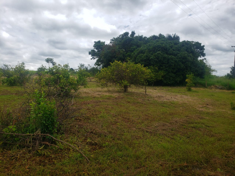 Sítio à venda Centro com 24m² e 3 quartos por R$ 650.000 - 2064434228-img-20230707-wa0017.jpg