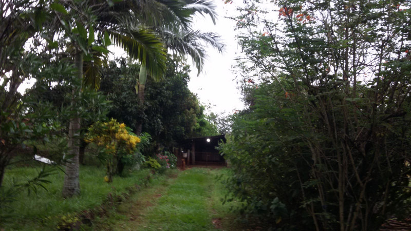 Sítio à venda Centro com 24m² e 3 quartos por R$ 650.000 - 489363052-img-20230502-wa0002.jpg