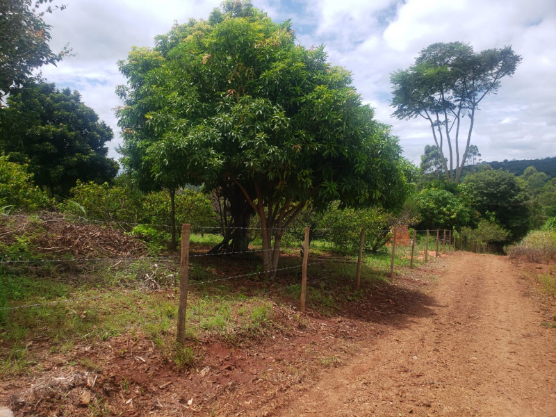 Sítio à venda Centro com 24m² e 3 quartos por R$ 650.000 - 547182176-img-20230707-wa0009.jpg