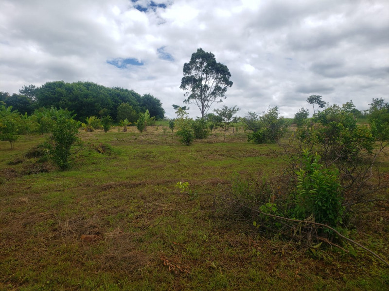 Sítio à venda Centro com 24m² e 3 quartos por R$ 650.000 - 78465382-img-20230707-wa0016.jpg