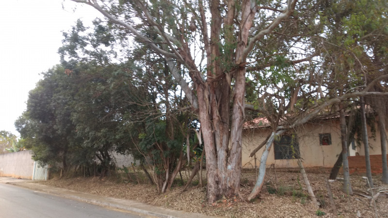 Chácara à venda Quintais do Imperador  com 2000m² e 3 quartos por R$ 590.000 - 1425122779-img-20230613-153009109.jpg