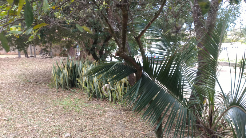 Chácara à venda Quintais do Imperador  com 2000m² e 3 quartos por R$ 590.000 - 1983437646-img-20230613-151404582.jpg