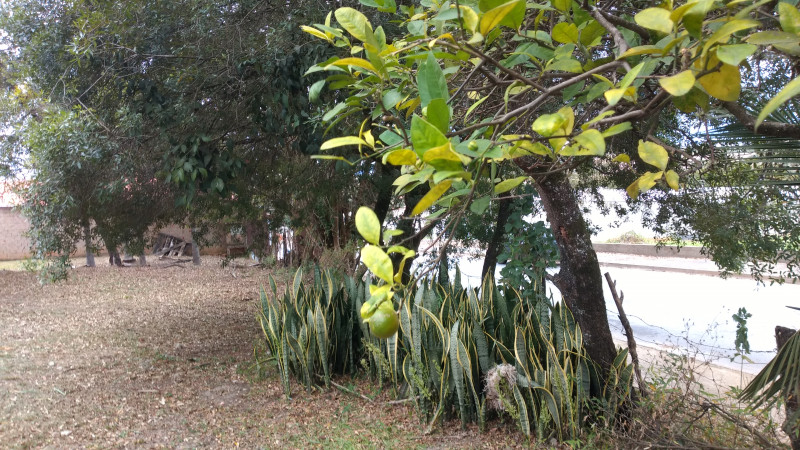 Chácara à venda Quintais do Imperador  com 2000m² e 3 quartos por R$ 590.000 - 23706107-img-20230613-151353575.jpg
