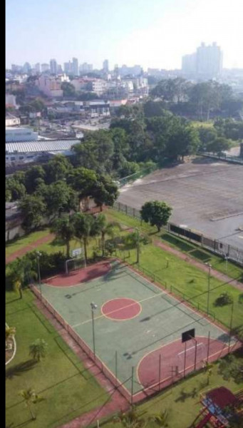 Apartamento à venda Baeta Neves com 64m² e 2 quartos por R$ 340.000 - 1116457642-screenshot-20190923-180113.jpg