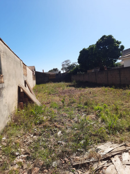 Terreno à venda Vila Cidade Industrial (Vila Xavier) com 370m² e 1 quarto por R$ 230.000 - 112114517-whatsapp-image-2023-07-09-at-11.jpeg