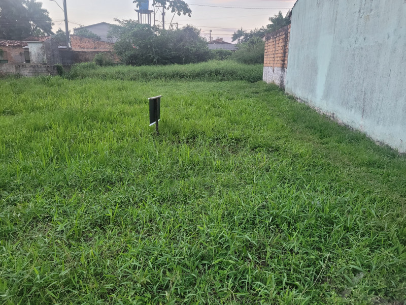 Terreno à venda Icuí-Guajará com 140m² e 1 quarto por R$ 45.000 - 768048067-20230710-181919.jpg