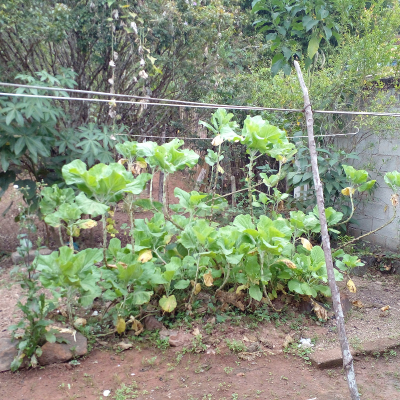 Casa à venda Centro com 169m² e 5 quartos por R$ 95.000 - 1285359926-20230730-153908.jpg