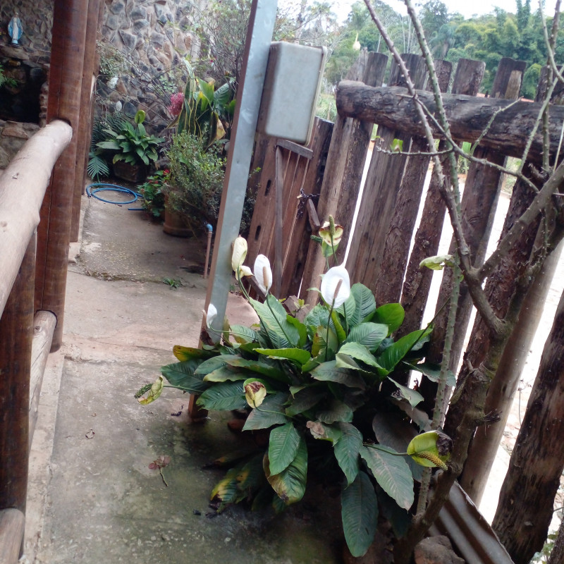 Casa à venda Centro com 169m² e 5 quartos por R$ 95.000 - 1545055714-20230730-153805.jpg